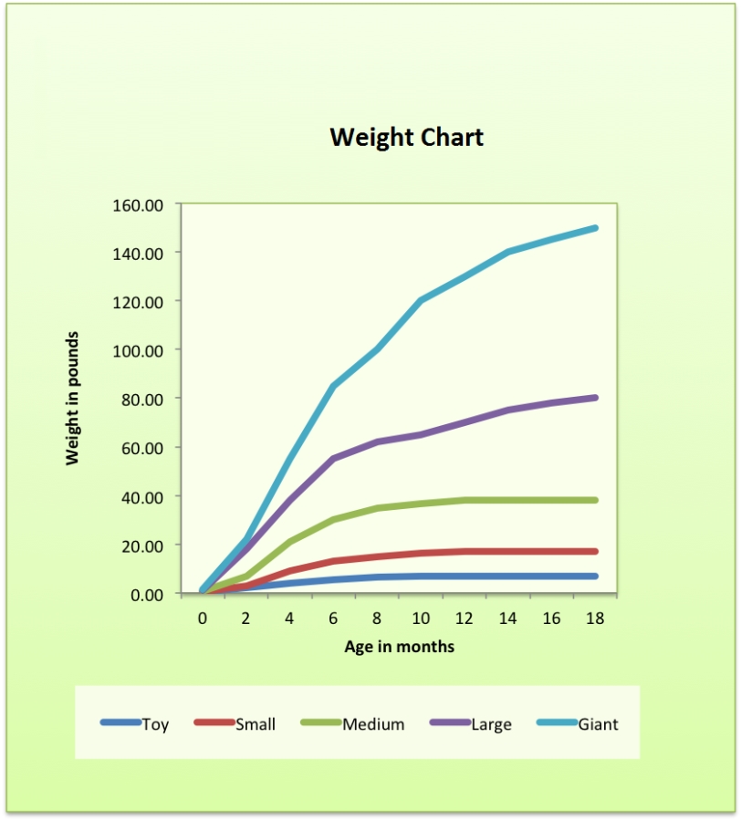 Presa Canario Weight Chart